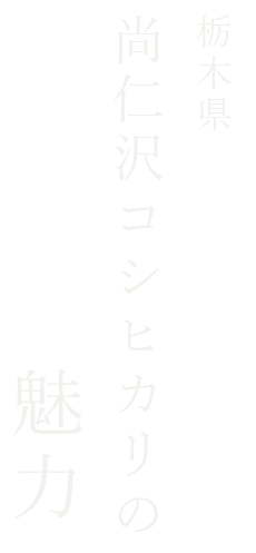 尚仁沢コシヒカリの魅力ー