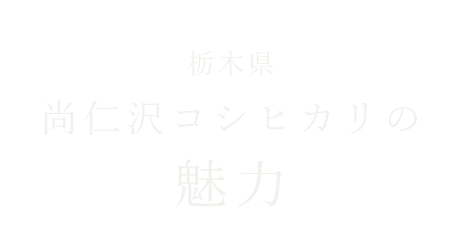 栃木県尚仁沢コシヒカリの魅力