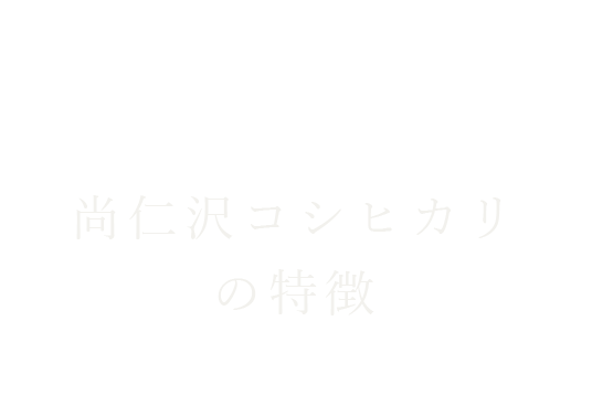 尚仁沢コシヒカリの特徴